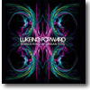 lukeing forward - Wandering in Urban Fog